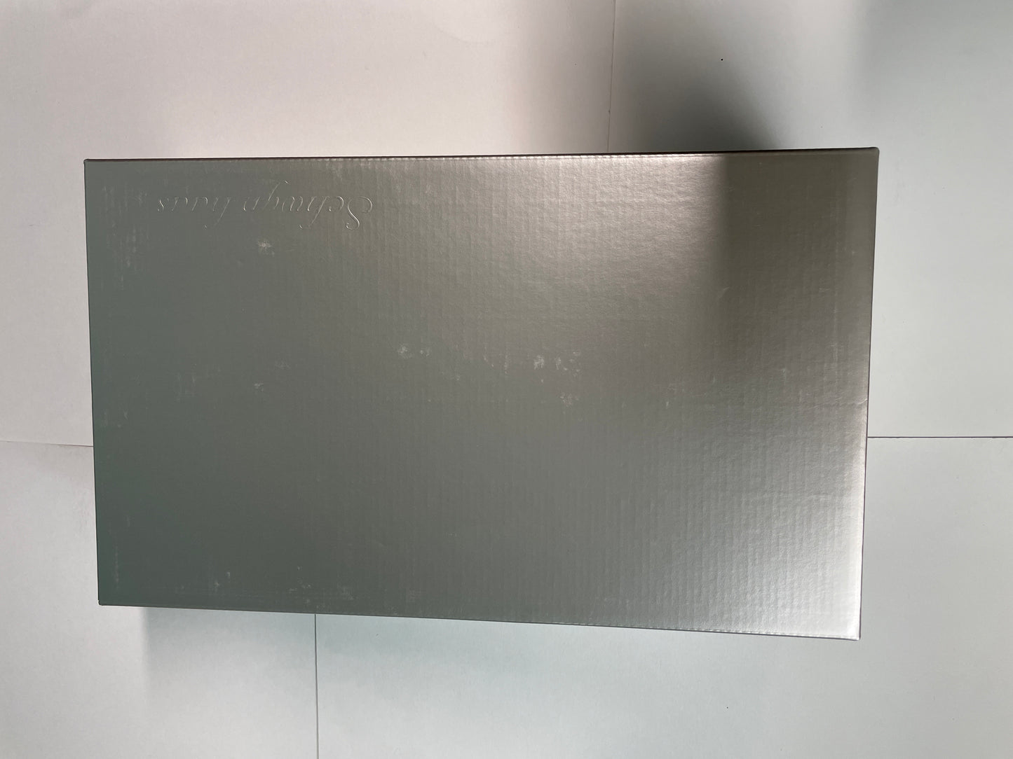 Schwyn Haas 1/18 Speed Racer Silver Metallic Version